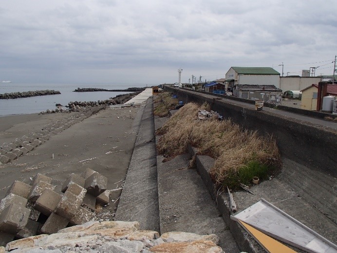 海岸事業分野 株式会社 基礎建設コンサルタント