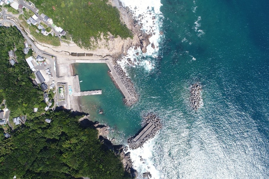 漁港・水産事業分野 株式会社 基礎建設コンサルタント